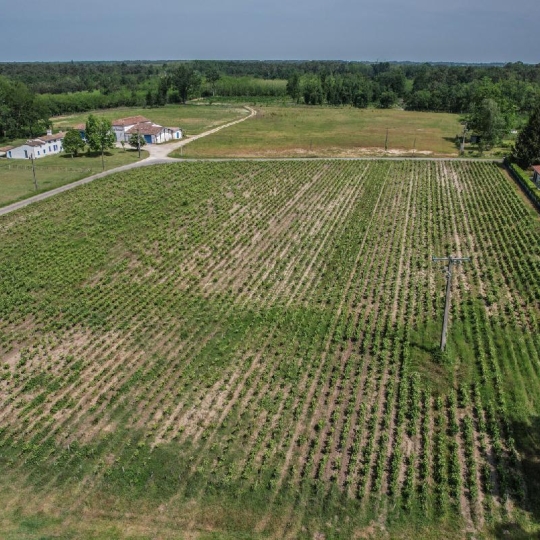  Annonces SAINTSULPICE : Domaines / Propriétés | SAINT-SAUVEUR (33250) | 600 m2 | 450 000 € 