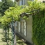  Annonces SAINTSULPICE : Maison / Villa | IZON (33450) | 481 m2 | 960 000 € 