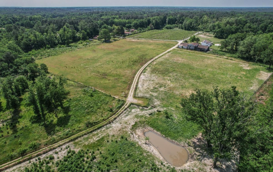 Annonces SAINTSULPICE : Domaines / Propriétés | SAINT-SAUVEUR (33250) | 600 m2 | 450 000 € 