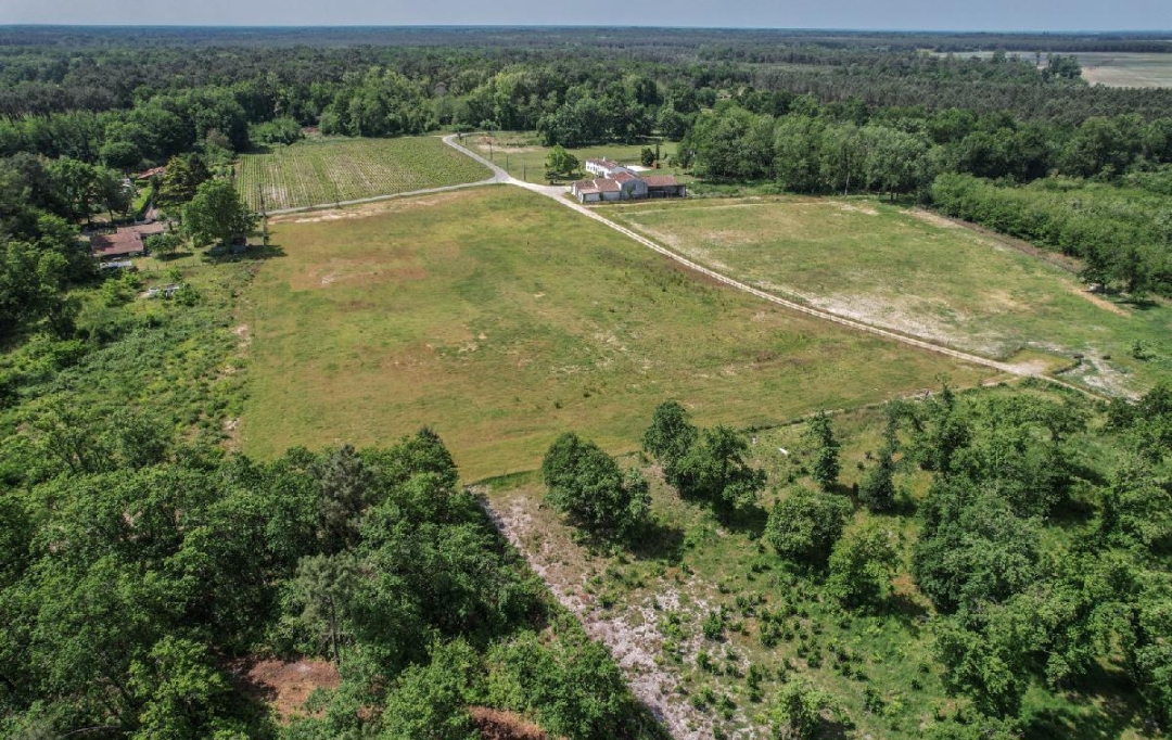 Annonces SAINTSULPICE : Domaines / Propriétés | SAINT-SAUVEUR (33250) | 600 m2 | 450 000 € 