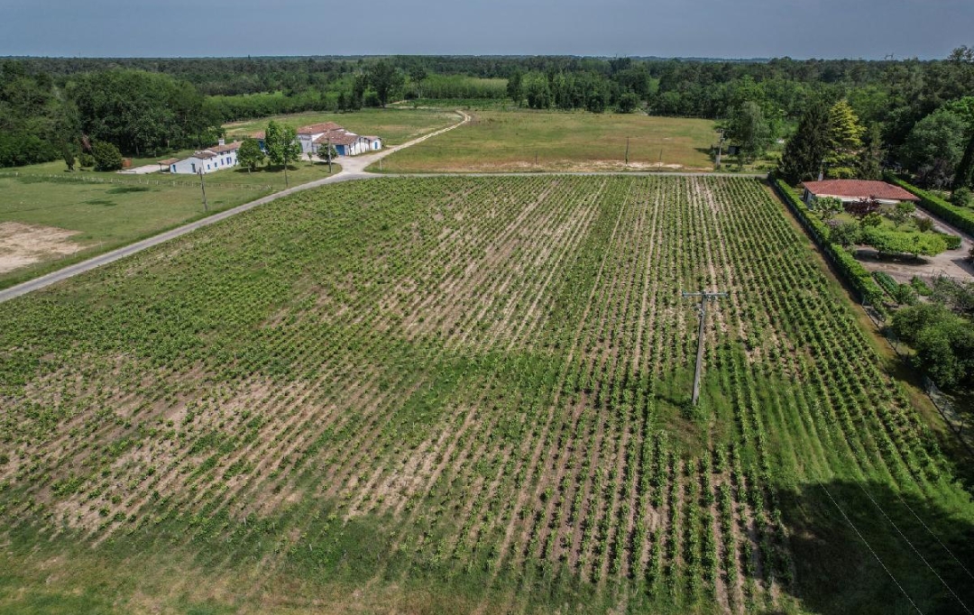 Annonces SAINTSULPICE : Domaines / Propriétés | SAINT-SAUVEUR (33250) | 600 m2 | 450 000 € 