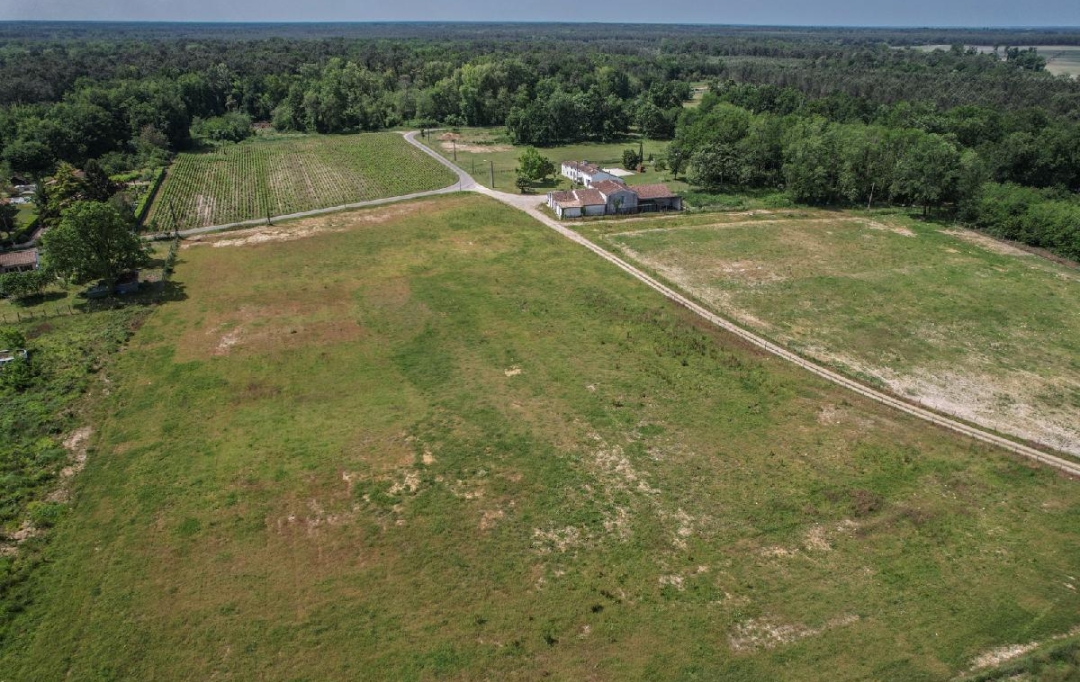 Annonces SAINTSULPICE : Domaines / Propriétés | SAINT-SAUVEUR (33250) | 600 m2 | 450 000 € 
