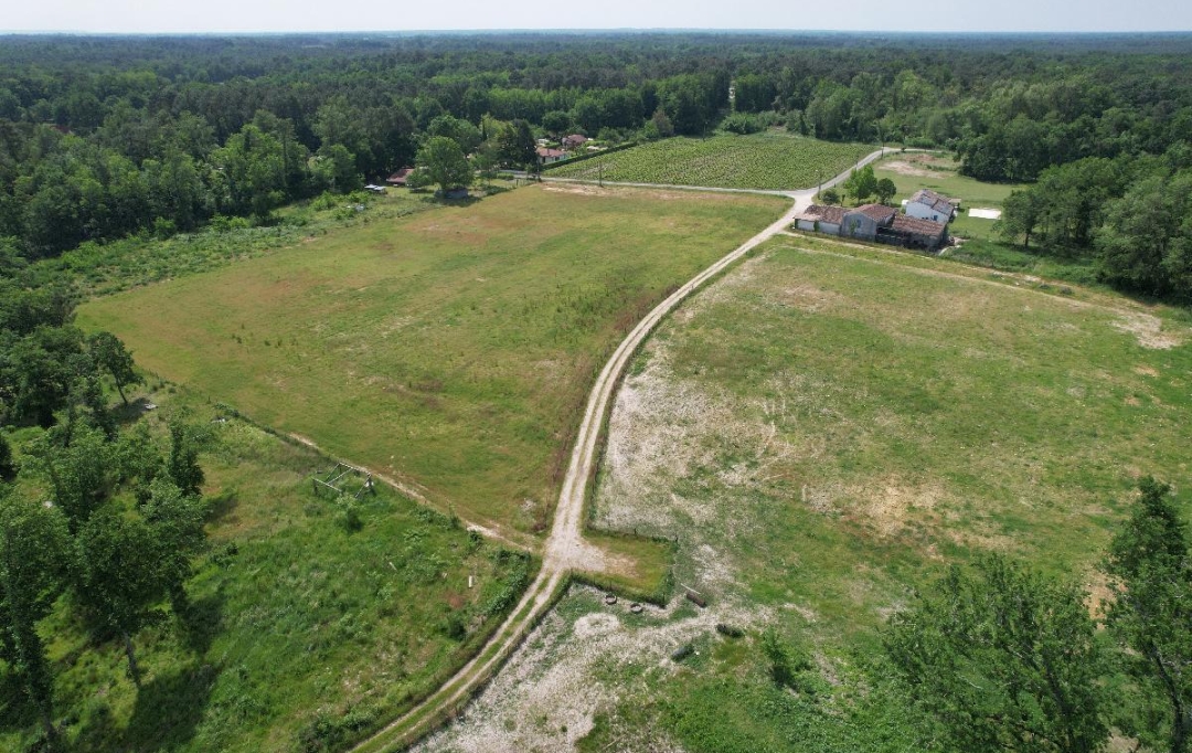 Annonces SAINTSULPICE : Domaines / Propriétés | SAINT-SAUVEUR (33250) | 600 m2 | 450 000 € 