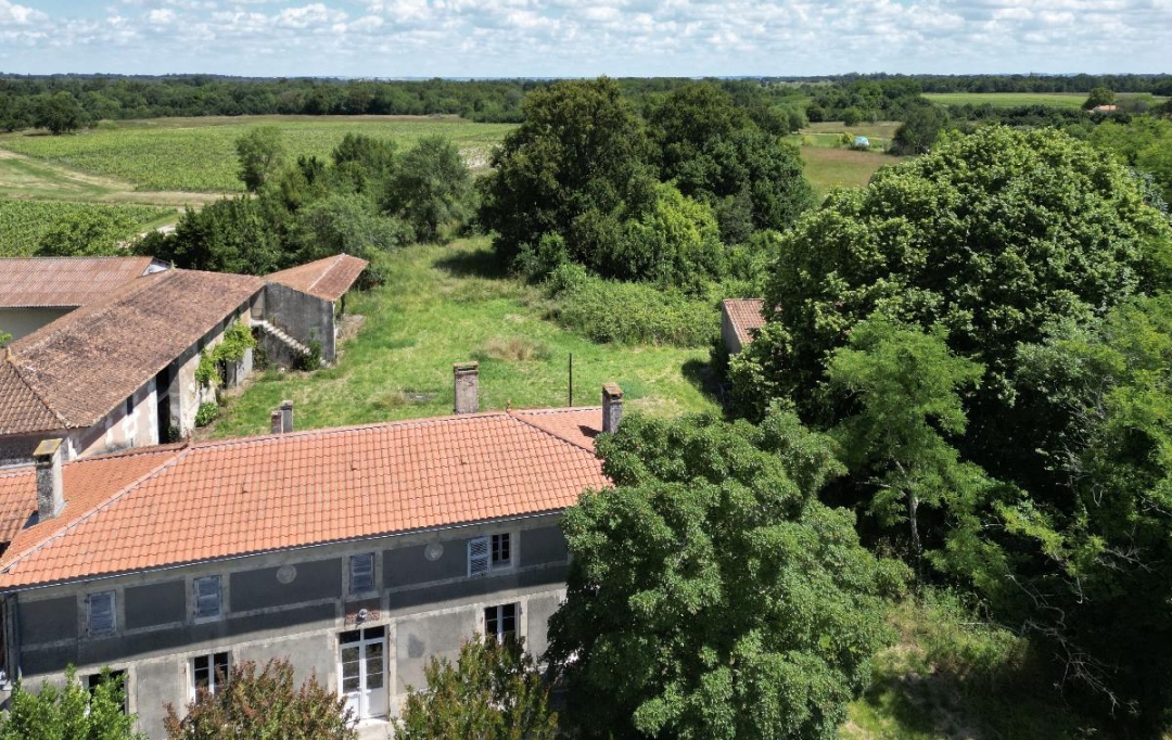 Annonces SAINTSULPICE : Maison / Villa | BEGADAN (33340) | 350 m2 | 190 000 € 