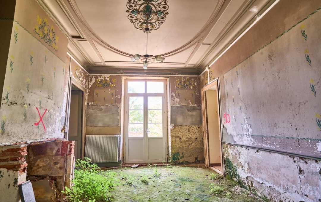 Annonces SAINTSULPICE : Maison / Villa | BEGADAN (33340) | 350 m2 | 190 000 € 