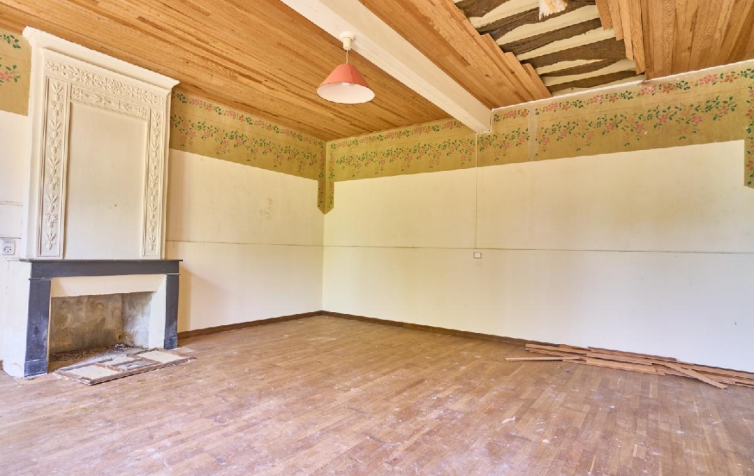 Annonces SAINTSULPICE : Maison / Villa | BEGADAN (33340) | 350 m2 | 190 000 € 