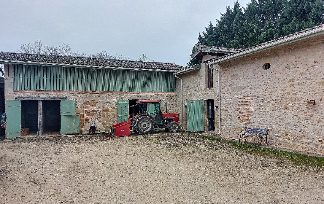Annonces SAINTSULPICE : Domaines / Propriétés | BORDEAUX (33000) | 244 m2 | 1 260 000 € 